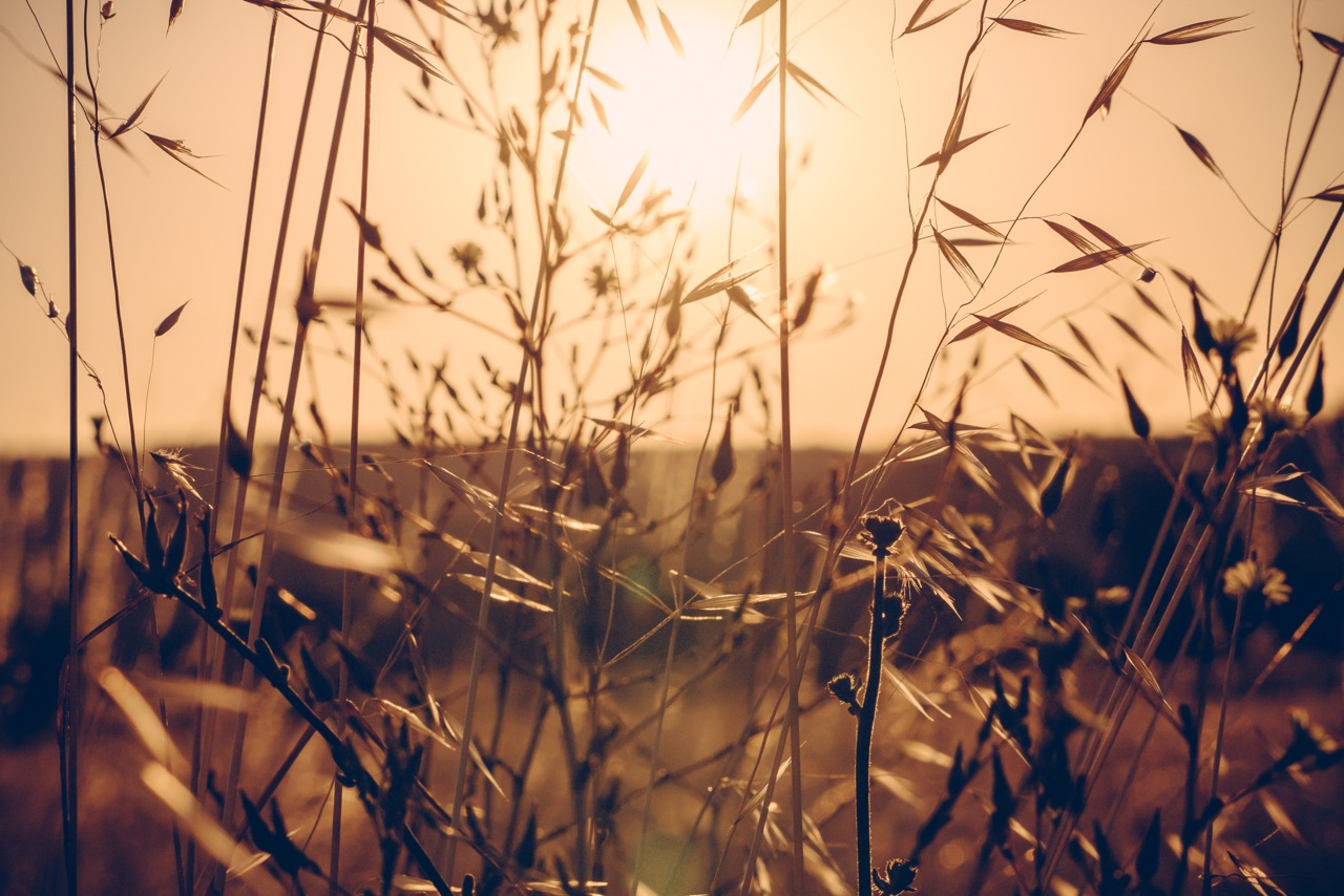 Paysage 03