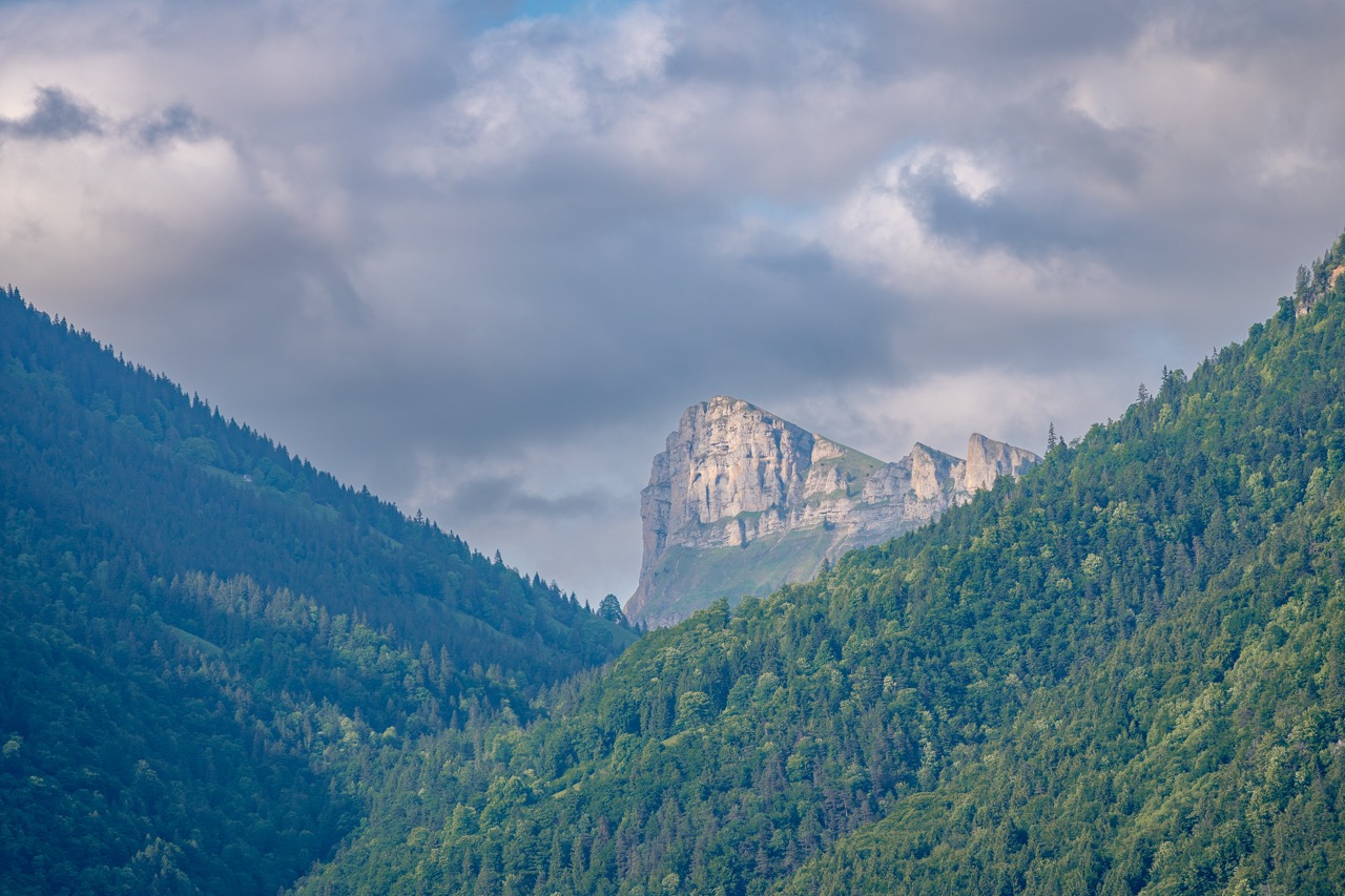 Paysage 09